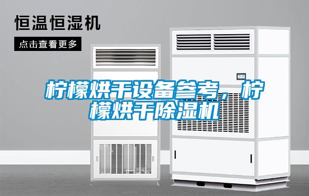 柠檬烘干设备参考，柠檬烘干粉色视频免费在线观看
