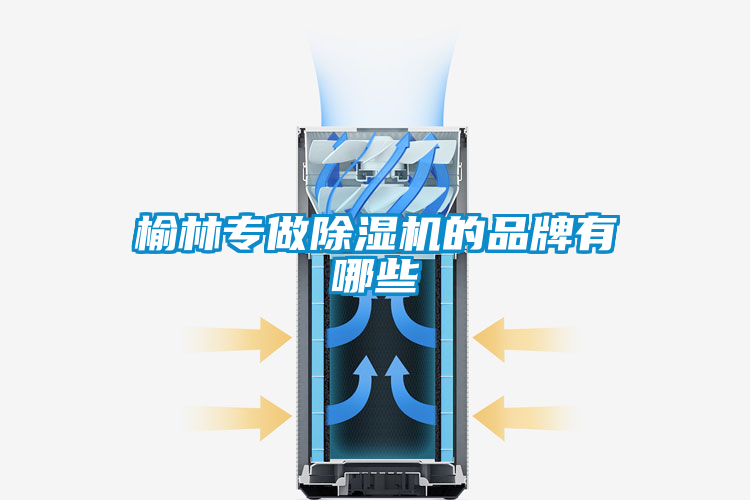 榆林专做粉色视频免费在线观看的品牌有哪些