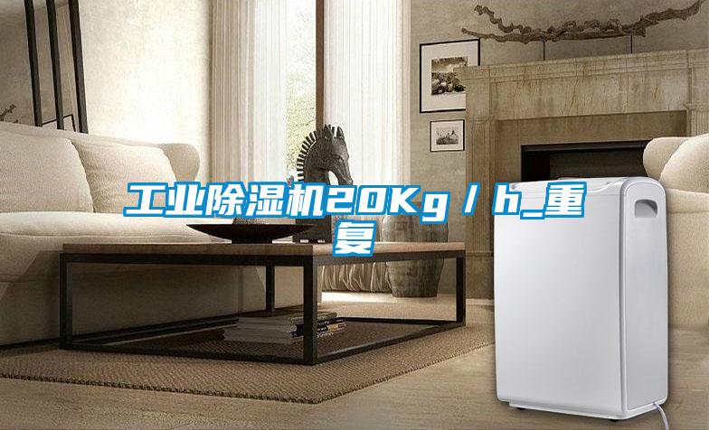 工业粉色视频免费在线观看20Kg／h_重复