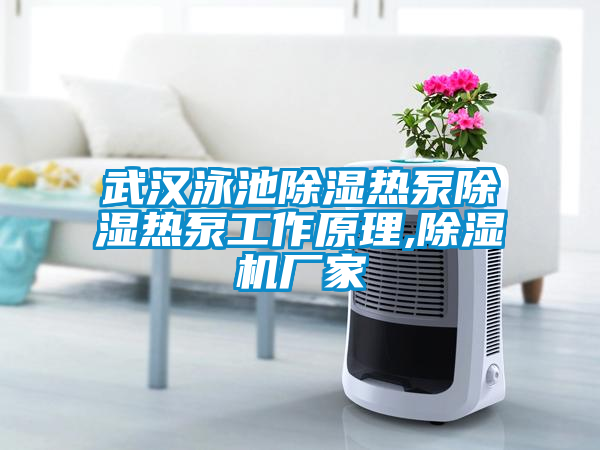 武汉泳池除湿热泵除湿热泵工作原理,粉色视频免费在线观看厂家