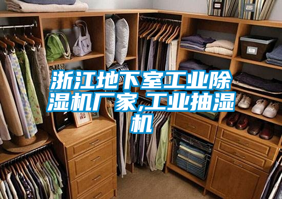浙江地下室工业粉色视频免费在线观看厂家,工业抽湿机