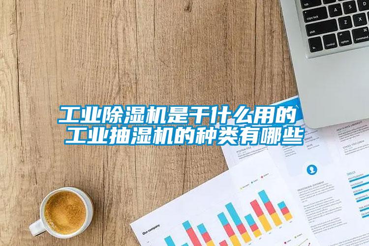 工业粉色视频免费在线观看是干什么用的 工业抽湿机的种类有哪些