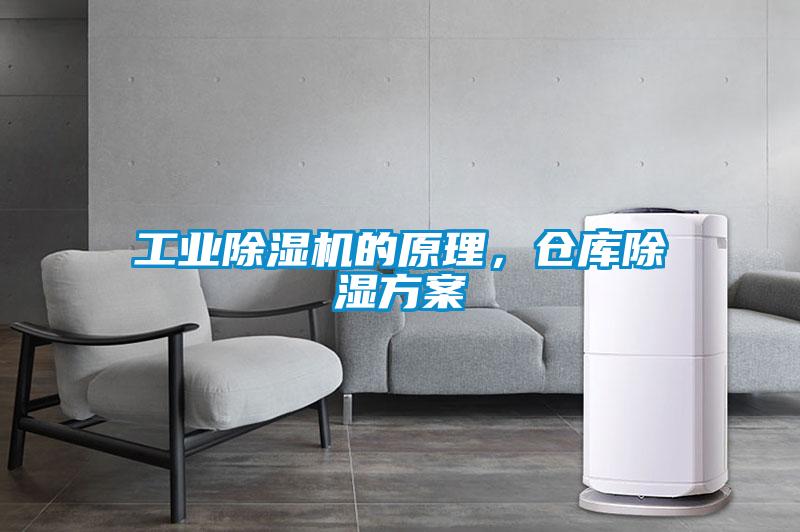 工业粉色视频免费在线观看的原理，仓库除湿方案