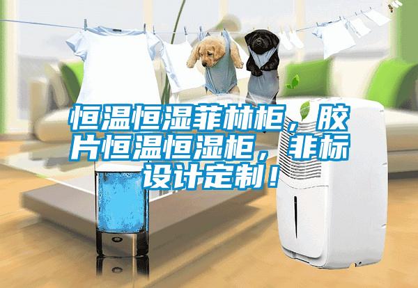 恒温恒湿菲林柜，胶片恒温恒湿柜，非标设计定制！