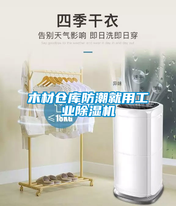 木材仓库防潮就用工业粉色视频免费在线观看