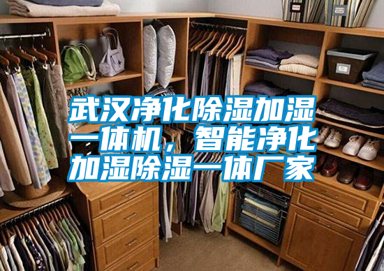 武汉净化除湿加湿一体机，智能净化加湿除湿一体厂家
