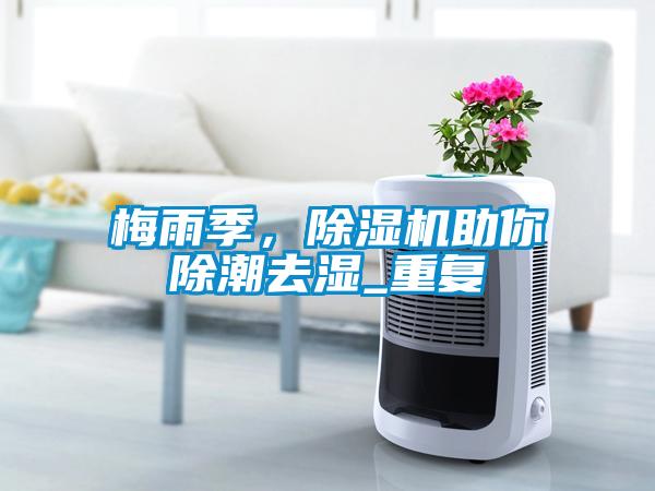 梅雨季，粉色视频免费在线观看助你除潮去湿_重复