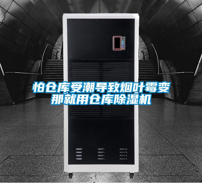 怕仓库受潮导致烟叶霉变那就用仓库粉色视频免费在线观看