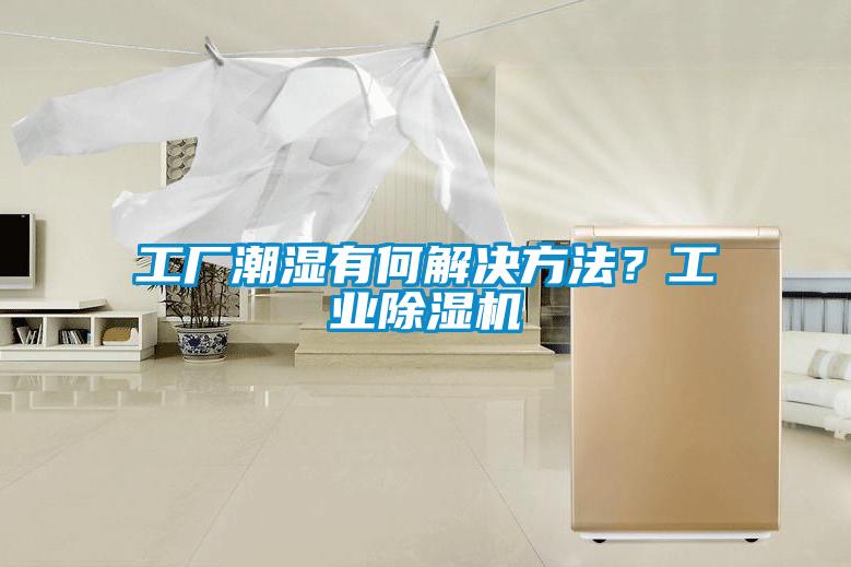 工厂潮湿有何解决方法？工业粉色视频免费在线观看