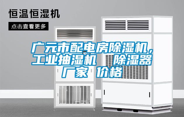 广元市配电房粉色视频免费在线观看，工业抽湿机  除湿器厂家 价格