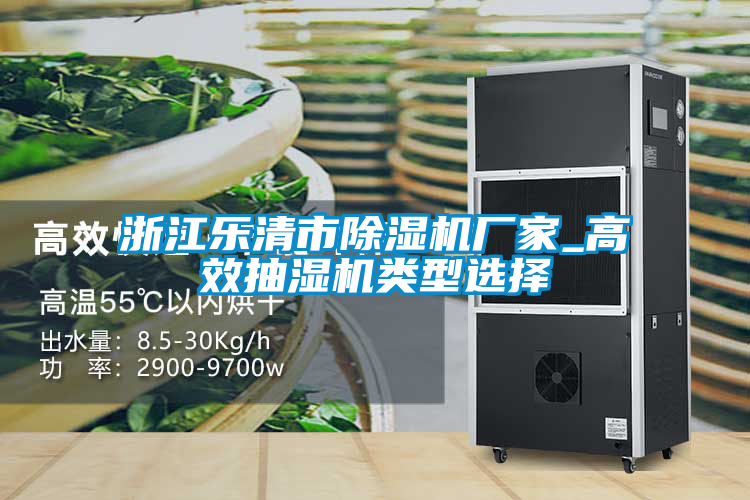 浙江乐清市粉色视频免费在线观看厂家_高效抽湿机类型选择