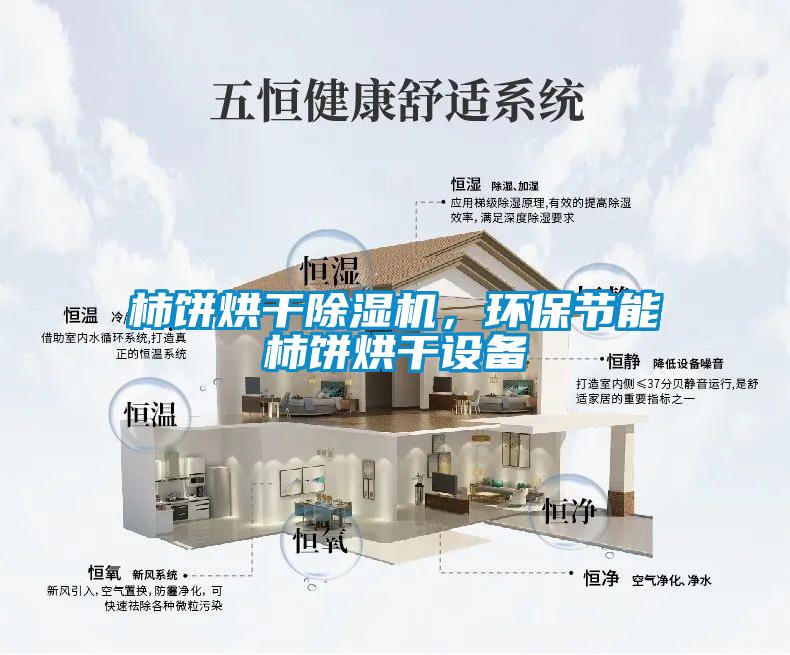 柿饼烘干粉色视频免费在线观看，环保节能柿饼烘干设备
