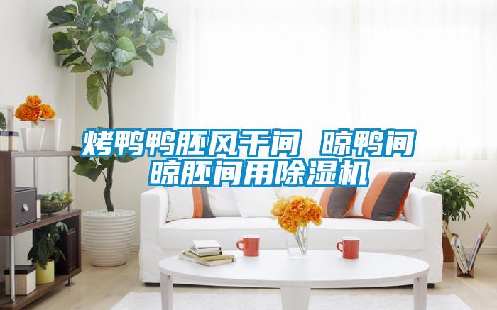 烤鸭鸭胚风干间 晾鸭间 晾胚间用粉色视频免费在线观看