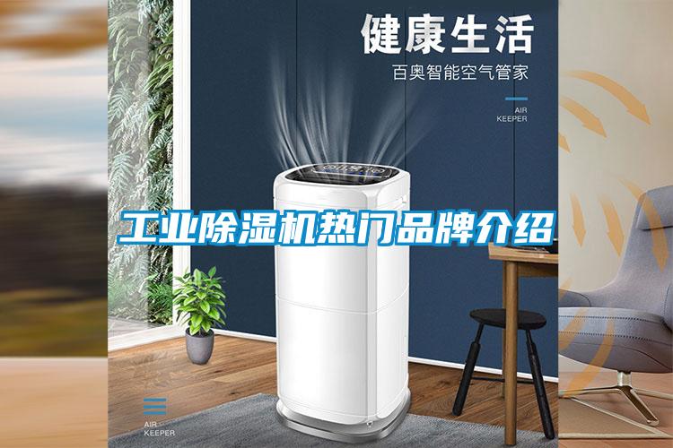 工业粉色视频免费在线观看热门品牌介绍