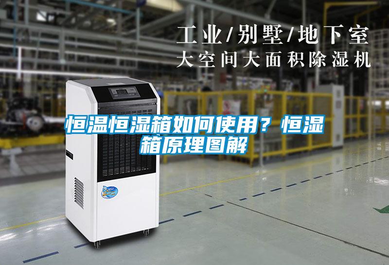 恒温恒湿箱如何使用？恒湿箱原理图解