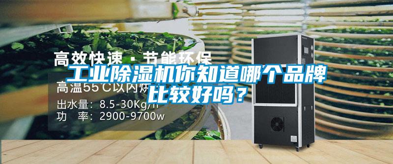 工业粉色视频免费在线观看你知道哪个品牌比较好吗？