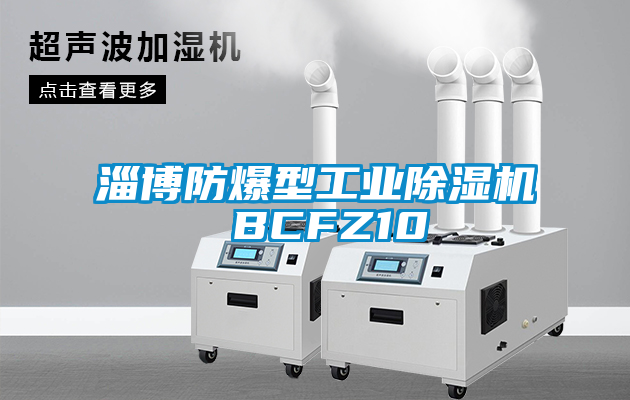 淄博防爆型工业粉色视频免费在线观看 BCFZ10