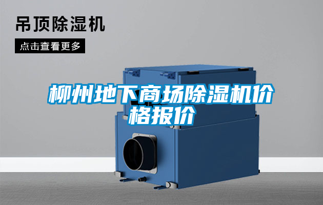 柳州地下商场粉色视频免费在线观看价格报价