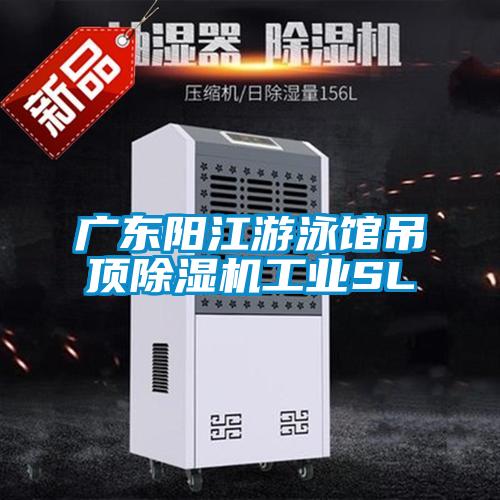 广东阳江游泳馆吊顶粉色视频免费在线观看工业SL