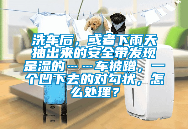 洗车后，或者下雨天抽出来的安全带发现是湿的……车被蹭，一个凹下去的对勾状，怎么处理？