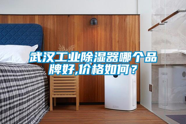 武汉工业除湿器哪个品牌好,价格如何？