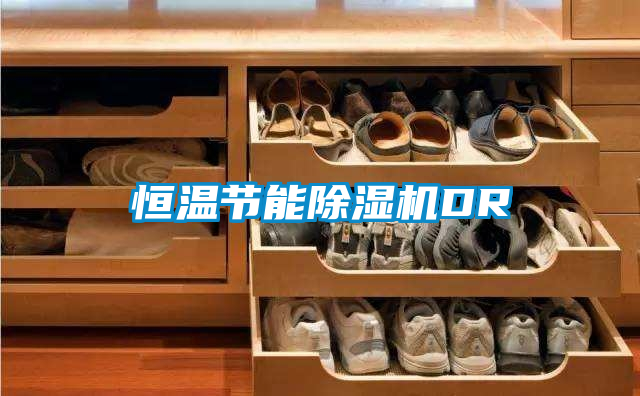 恒温节能粉色视频免费在线观看DR