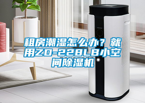 租房潮湿怎么办？就用ZD-228LB小空间粉色视频免费在线观看
