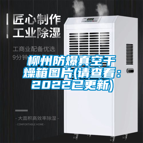 柳州防爆真空干燥箱图片(请查看：2022已更新)