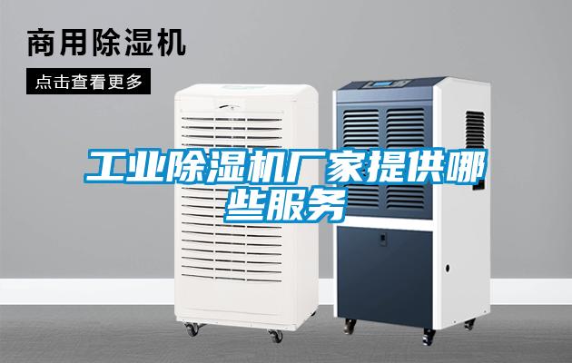 工业粉色视频免费在线观看厂家提供哪些服务