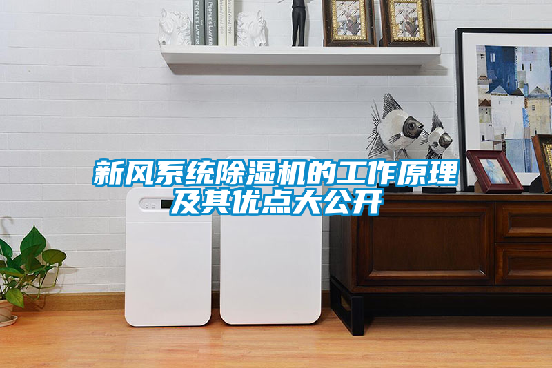 新风系统粉色视频免费在线观看的工作原理及其优点大公开