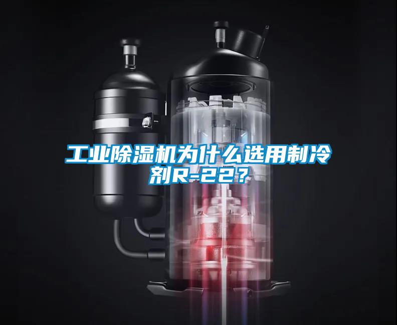 工业粉色视频免费在线观看为什么选用制冷剂R-22？