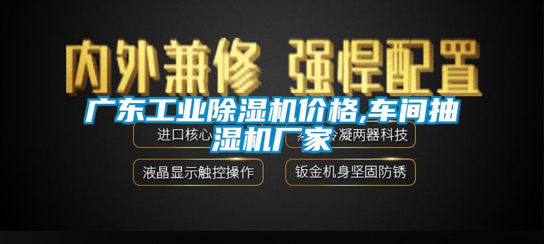 广东工业粉色视频免费在线观看价格,车间抽湿机厂家