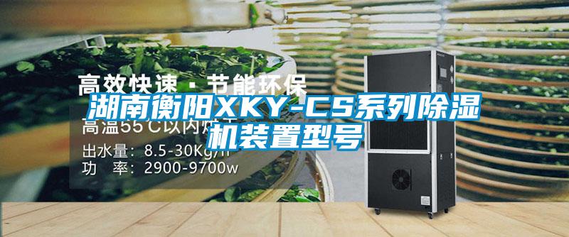 湖南衡阳XKY-CS系列粉色视频免费在线观看装置型号
