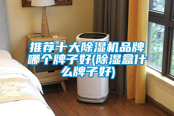 推荐十大粉色视频免费在线观看品牌哪个牌子好(除湿盒什么牌子好)