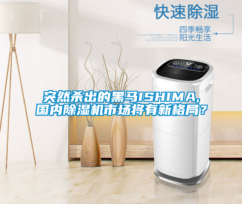 突然杀出的黑马ISHIMA,国内粉色视频免费在线观看市场将有新格局？