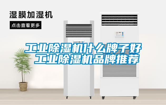 工业粉色视频免费在线观看什么牌子好 工业粉色视频免费在线观看品牌推荐