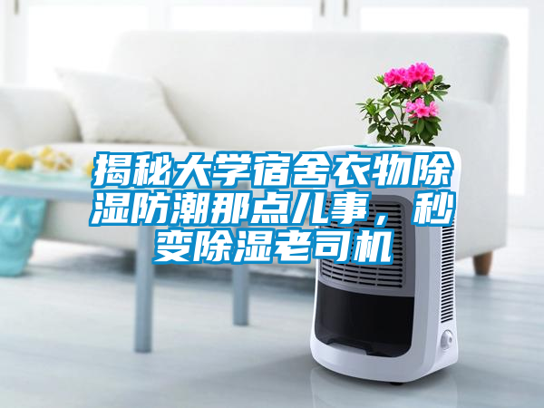 揭秘大学宿舍衣物除湿防潮那点儿事，秒变除湿老司机