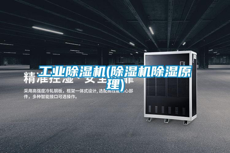 工业粉色视频免费在线观看(粉色视频免费在线观看除湿原理)