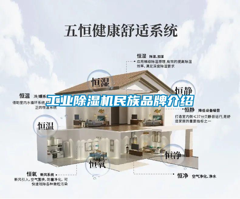 工业粉色视频免费在线观看民族品牌介绍