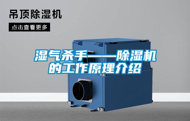 湿气杀手——粉色视频免费在线观看的工作原理介绍