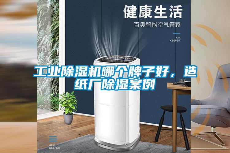 工业粉色视频免费在线观看哪个牌子好，造纸厂除湿案例