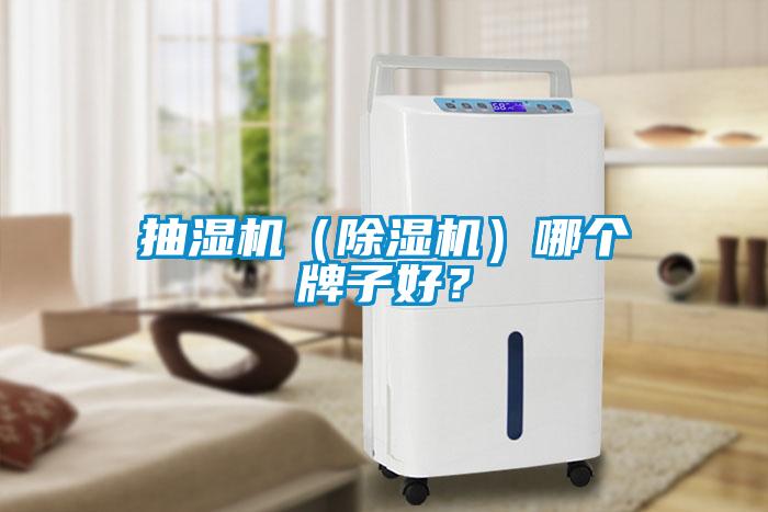 抽湿机（粉色视频免费在线观看）哪个牌子好？