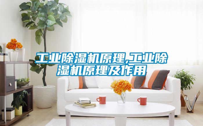 工业粉色视频免费在线观看原理,工业粉色视频免费在线观看原理及作用
