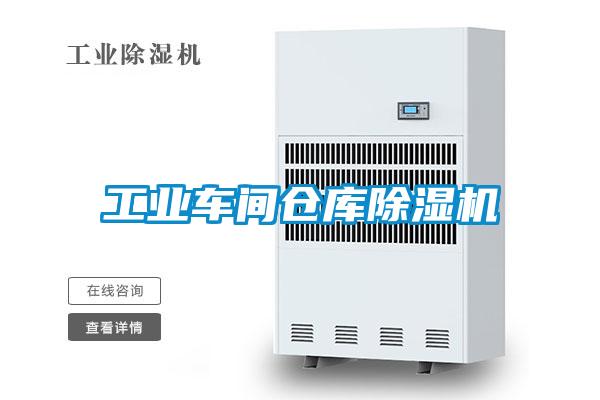 工业车间仓库粉色视频免费在线观看