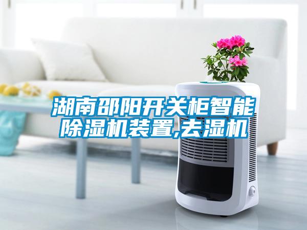湖南邵阳开关柜智能粉色视频免费在线观看装置,去湿机