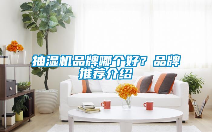 抽湿机品牌哪个好？品牌推荐介绍