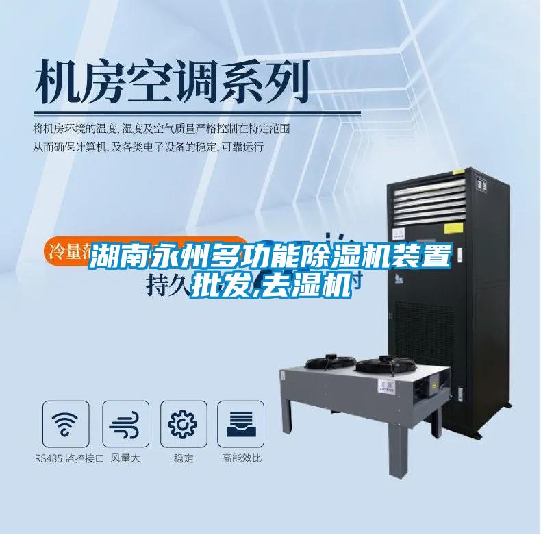 湖南永州多功能粉色视频免费在线观看装置批发,去湿机