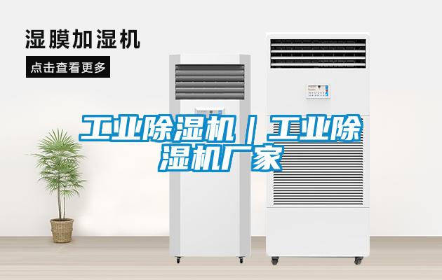 工业粉色视频免费在线观看｜工业粉色视频免费在线观看厂家