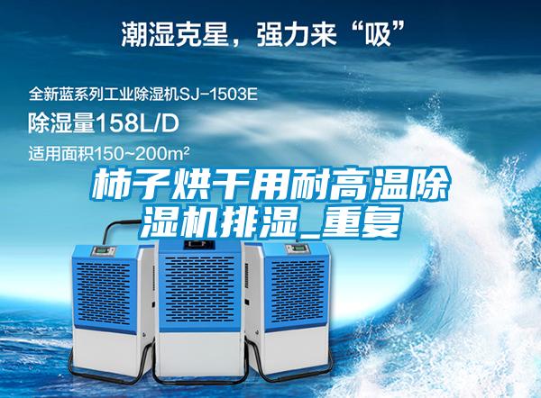 柿子烘干用耐高温粉色视频免费在线观看排湿_重复