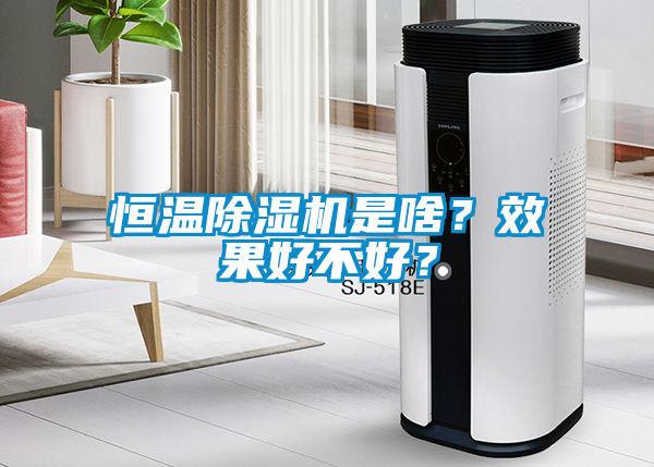 恒温粉色视频免费在线观看是啥？效果好不好？